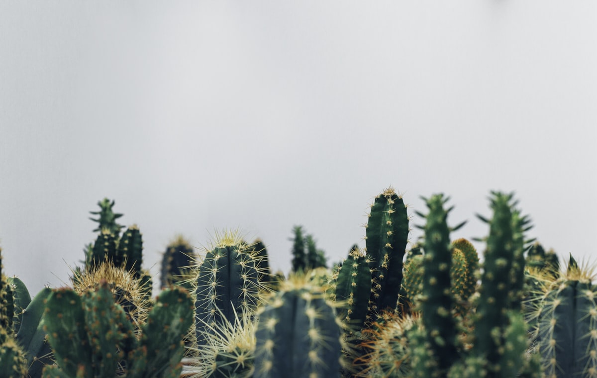 Produtos agrícolas